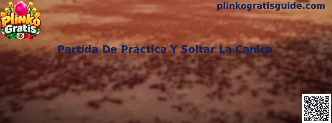 Partida De Práctica Y Soltar La Canica en Plinko Gratis